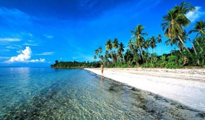 Berwisata dan Menyelam di Pulau Derawan