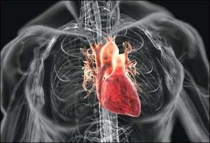 5 Tanda Jantung Tidak Sehat