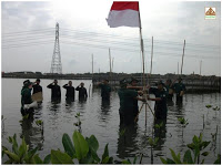 KeMANGTEER dan KeSEMaT Sukses Kibarkan Bendera Merah Putih di Kawasan Mangrove Terabrasi Trimulyo, Semarang