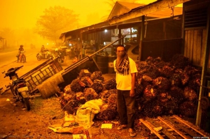 Begini Kisah Sulitnya Padamkan Kebakaran Hutan di Kalimantan Tengah