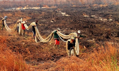 Kronologi Kebakaran Hutan di Ogan Komering Ilir, Sumatera Selatan