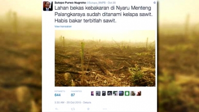 Adakah Kasus Korupsi dalam Tragedi Pembakaran Hutan dan Lahan di Indonesia?