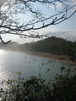 Menuju Pantai Balekambang Primadona Malang Selatan
