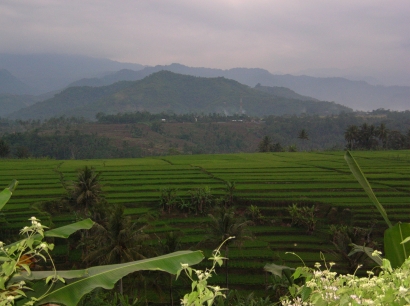 Pengalaman Mengunjungi Sebuah Desa di Kabupaten Subang