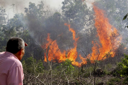 Vonis Penjahat Lingkungan di Riau Mengecewakan