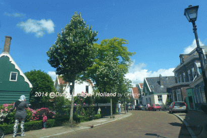 Di Sebuah Desa di Belanda …..