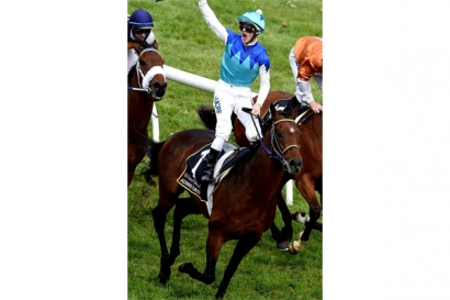Skandal Doping Kuda Pacu di Australia