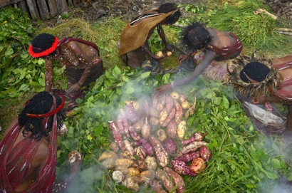 Mengenalkan Budaya Papua : Pesta Bakar Batu