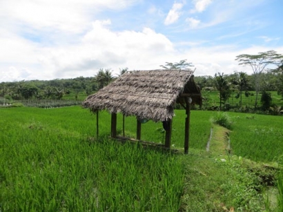 Komunitas Gubuk Bambu