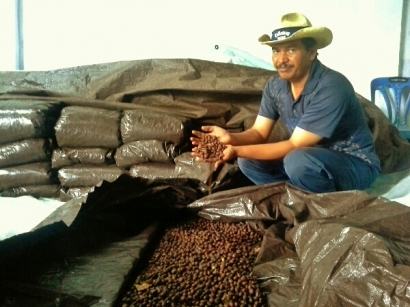 "Gayo Wine Coffee", Kopi Mahakarya Indonesia untuk Dunia