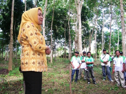 Hutan rakyat dirawat, kualitas kayu lebih baik, petani sejahtera, pembelajaran dari pelatihan MTG di Bulukumba, Sulawesi Selatan