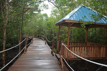 Menelusuri Pesona Elegan Hutan Mangrove di Pulau Bintan
