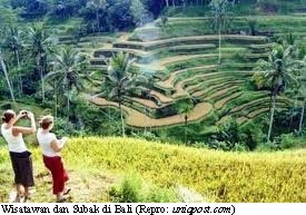 Rice Estate Untuk Menyelamatkan Subak di Bali